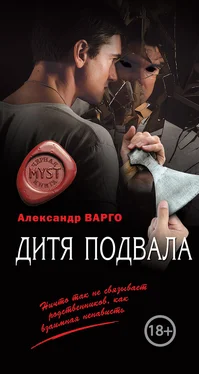 Александр Варго Дитя подвала обложка книги