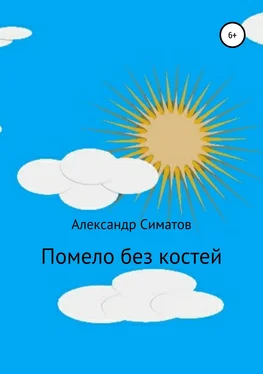 Александр Симатов Помело без костей обложка книги