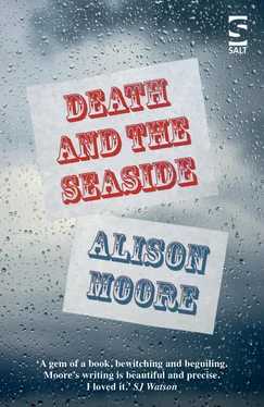 Alison Moore Death and the Seaside обложка книги