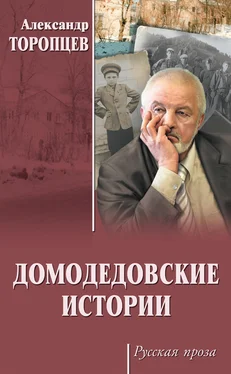 Александр Торопцев Домодедовские истории (сборник) обложка книги