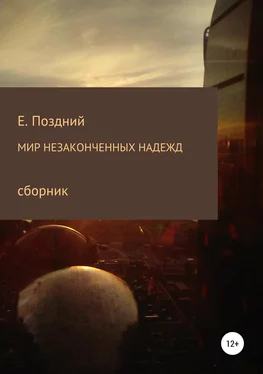 Евгений Поздний Мир незаконченных надежд. Сборник стихотворений обложка книги