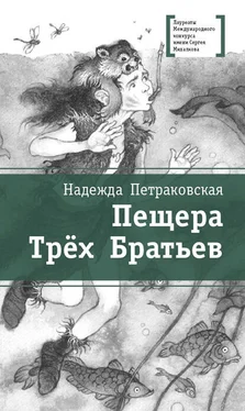 Надежда Петраковская Пещера Трёх Братьев обложка книги