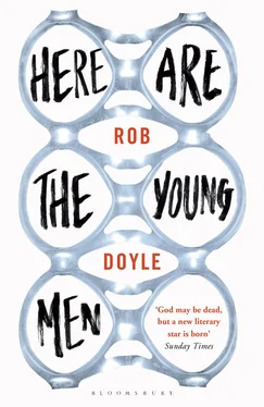 Rob Doyle Here Are the Young Men обложка книги