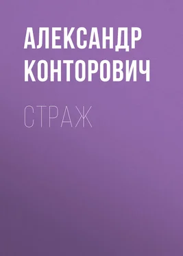 Александр Конторович Страж обложка книги