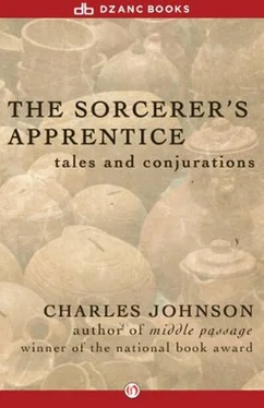 Charles Johnson Sorcerer's Apprentice обложка книги