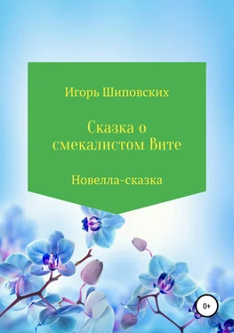 Игорь Шиповских Сказка о смекалистом Вите обложка книги