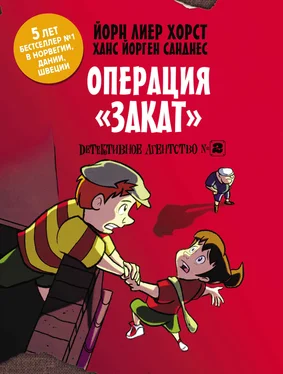 Йорн Лиер Хорст Детективное агентство №2. Операция «Закат» обложка книги