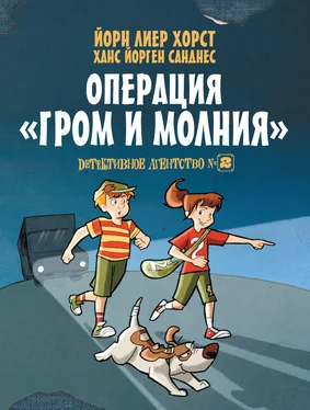 Йорн Лиер Хорст Детективное агентство №2. Операция «Гром и молния» обложка книги