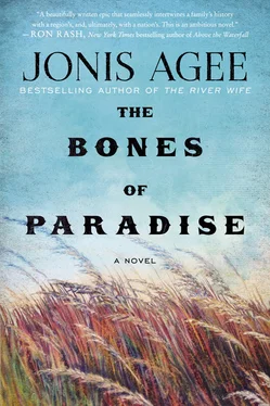 Jonis Agee The Bones of Paradise обложка книги