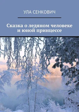 Ула Сенкович Сказка о ледяном человеке и юной принцессе обложка книги