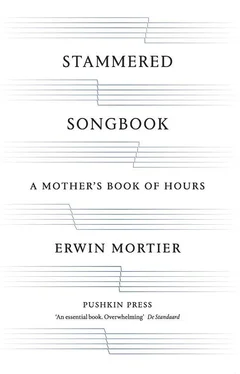 Erwin Mortier Stammered Songbook: A Mother's Book of Hours обложка книги