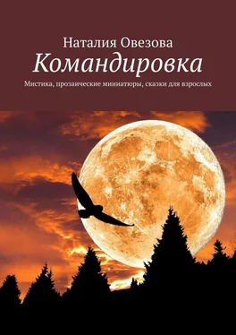 Наталия Овезова Командировка. Мистика, прозаические миниатюры, сказки для взрослых обложка книги