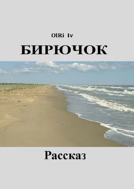 OlRi Iv Бирючок обложка книги