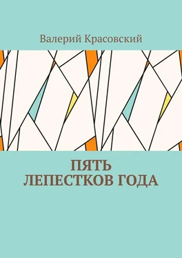 Валерий Красовский Пять лепестков года обложка книги