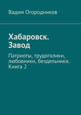 Вадим Огородников Хабаровск. Завод. Патриоты, трудоголики, любовники, бездельники. Книга 2 обложка книги