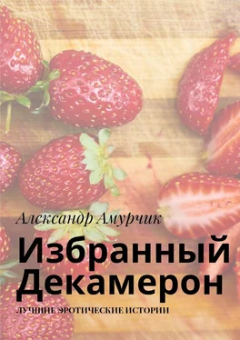 Александр Амурчик Избранный Декамерон. Лучшие эротические истории обложка книги