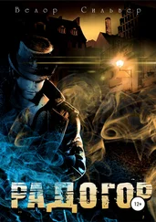 Велор Сильвер - Радогор