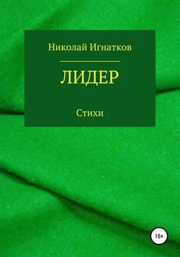 Николай Игнатков Лидер. Книга стихотворений обложка книги