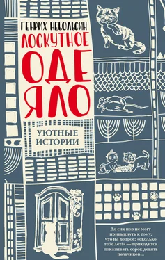 Генрих Небольсин Лоскутное одеяло (сборник) обложка книги