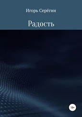 Игорь Серёгин - Радость