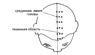 Срединная линия головы Начинаем работу с надавливания срединной линии головы - фото 147