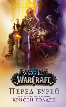 Кристи Голден World Of Warcraft: Перед бурей обложка книги