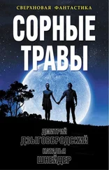 Дмитрий Дзыговбродский - Сорные травы