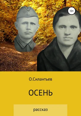 Олег Силантьев Осень обложка книги