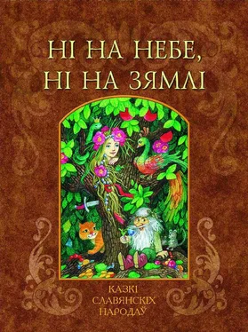 Іван Чарота Ні на небе, ні на зямлі обложка книги