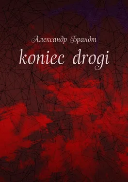 Александр Брандт koniec drogi обложка книги