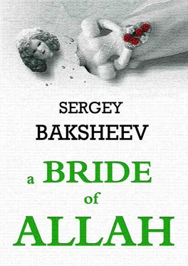Sergey Baksheev A Bride of Allah обложка книги