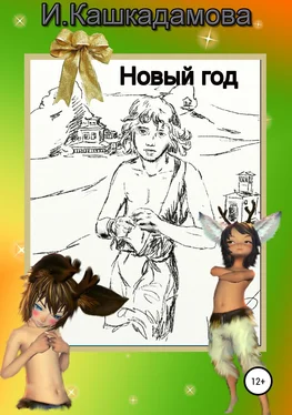 Ирина Кашкадамова Новый год обложка книги