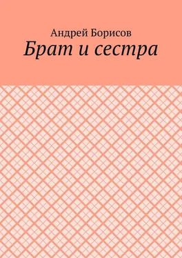 Андрей Борисов Брат и сестра обложка книги