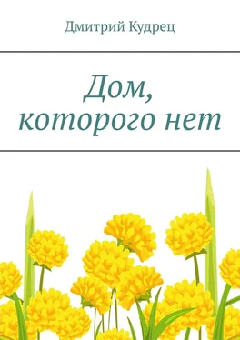 Дмитрий Кудрец Дом, которого нет обложка книги