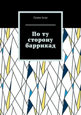 Галия Асан По ту сторону баррикад обложка книги