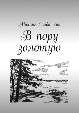 Михаил Солдаткин В пору золотую обложка книги