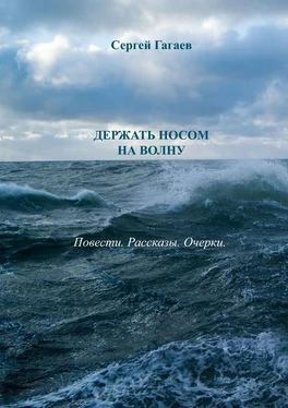 Сергей Гагаев Держать носом на волну обложка книги