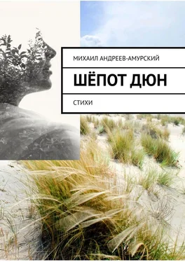 Михаил Андреев-Амурский Шёпот дюн. Стихи обложка книги