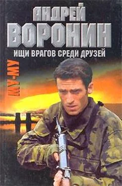 Андрей Воронин Ищи врагов среди друзей обложка книги