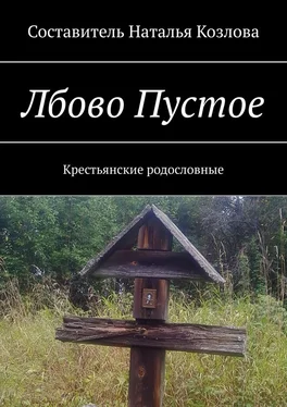 Наталья Козлова Лбово Пустое. Крестьянские родословные обложка книги