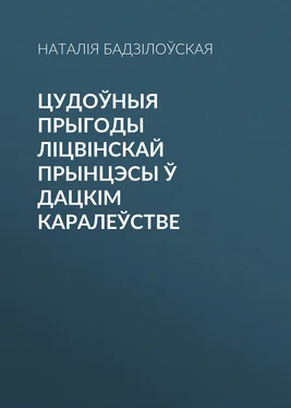 Наталія Бадзілоўская Цудоўныя прыгоды ліцвінскай прынцэсы ў Дацкім Каралеўстве обложка книги