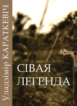 Уладзімір Караткевіч Сівая легенда обложка книги