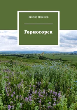 Виктор Новиков Горногорск обложка книги