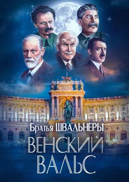 Братья Швальнеры Венский вальс обложка книги