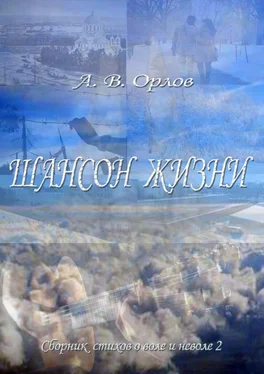 А. Орлов Шансон жизни. Сборник стихов о воле и неволе – 2 обложка книги