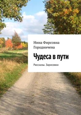 Нина Городничева Чудеса в пути. Рассказы. Зарисовки обложка книги