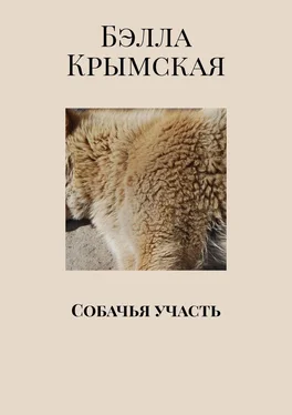 Бэлла Крымская Собачья участь обложка книги
