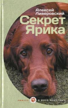 Алексей Ливеровский Секрет Ярика обложка книги