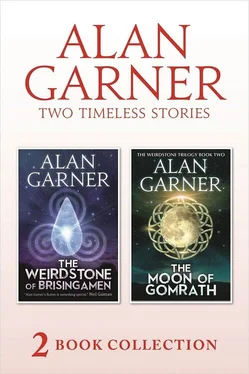 Alan Garner The Weirdstone of Brisingamen and The Moon of Gomrath обложка книги