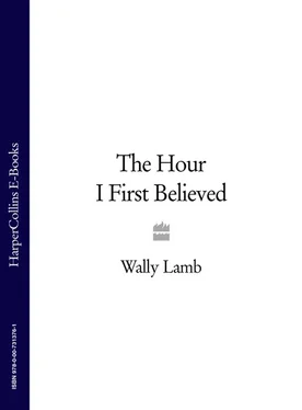 Wally Lamb The Hour I First Believed обложка книги